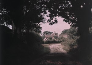 Sueño de verano