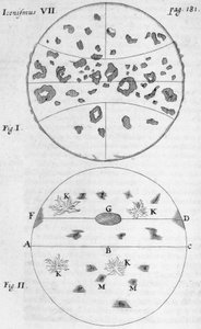 Manchas solares de Frederick (attr. to) Barnard