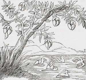 El árbol de los pájaros