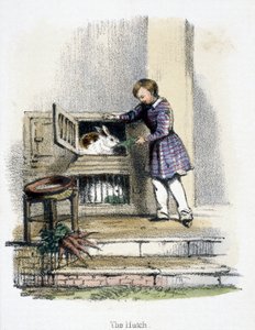La jaula, c. 1845 de Frederick (attr. to) Barnard