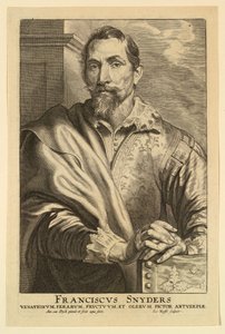 Retrato de Frans Snyders, de los Icones Principum Virorum de after Anthony van Dyck