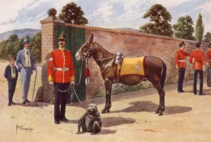 La mula y el mono mascota del Middlesex Regiment