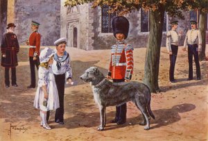 El perro lobo mascota de los Irish Guards en la Torre de Londres