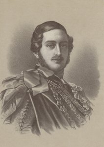Príncipe Alberto, Consorte de la Reina Victoria