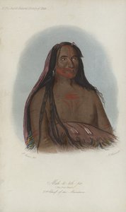 Mah-to-toh-pa, Los Cuatro Osos, 2º Jefe de los Mandan (aguafuerte) de after George Catlin
