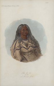 Sha-ko-ka, La Menta, Una Chica Mandan (aguafuerte) de after George Catlin