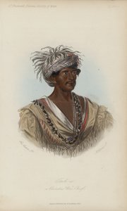 Tuch-ee, un Jefe de Guerra Cherokee (aguafuerte) de after George Catlin