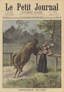 Una mujer pateada por un caballo