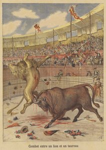 Combate entre un león y un toro