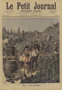 La cosecha de uvas
