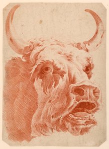 Cabeza de una vaca de after Jean Baptiste Huet