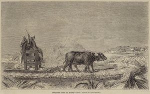 Pisando maíz en Egipto de after Jean Leon Gerome