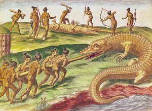 Cazando cocodrilos, de 