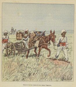 Cañones hovas llevados al campamento francés de after Louis Charles Bombled