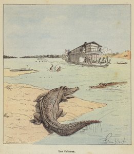 Los caimanes de after Louis Charles Bombled
