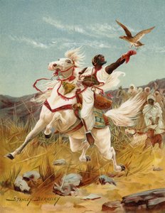 Cetrería en Marruecos