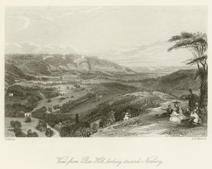 Vista desde Box Hill, mirando hacia Norbury