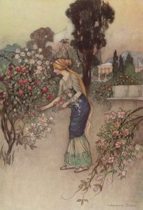 El cuento del caballero de after Warwick Goble