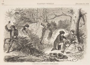 Navidad – Recolectando siempreverdes