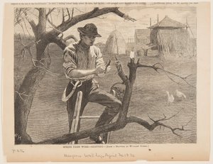 Trabajo de Primavera en la Granja – Injerto