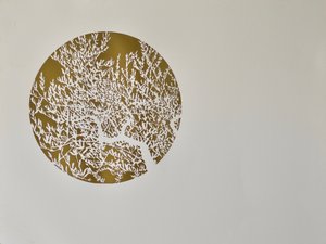 Sabiduría oculta de angus hampel