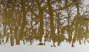 Árboles de la vida, 2017 de angus hampel