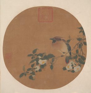 Rama de árbol con flores y pájaro de la familia Waxwing