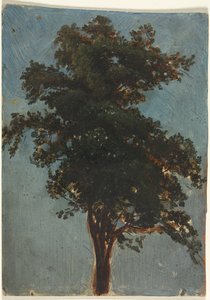 Estudio de Árbol de attributed to Alexandre Calame