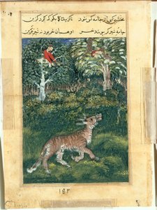 El burro, con piel de tigre, revela su identidad al rebuznar en voz alta, de un Tuti-nama (Cuentos de un Loro): Trigésima primera noche