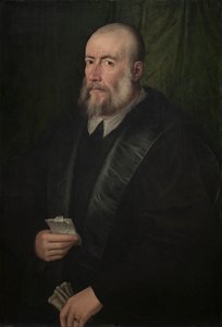 Retrato de un anciano de attributed to Giulio Campi