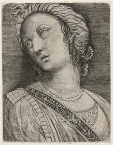 Busto de una mujer de attributed to Jacopo de