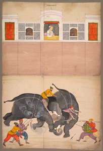 Dos elefantes peleando en un patio ante Muhammad Shah de attributed to Nainsukh