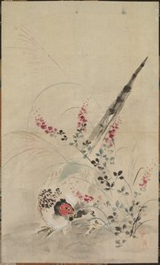Pheasant and Grasses de attributed to Ogata Kōrin