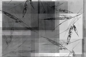 Capas de bambú abstractas de cartissi