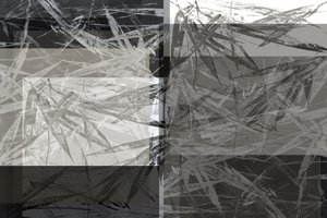 Textura abstracta de bambú