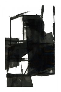 Estructuras negras abstractas de cartissi