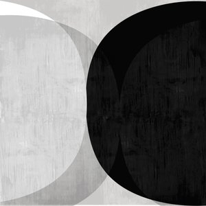 Curvas abstractas en blanco y negro de cartissi