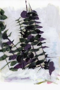 Follaje botánico abstracto de cartissi