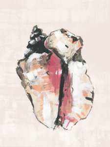 Concha de caracol abstracta