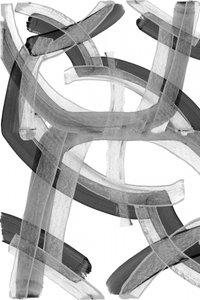 Trazos fluidos y abstractos de cartissi