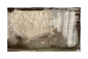 Resumen: Luz del bosque de cartissi