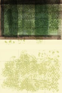 Capas verdes abstractas de cartissi