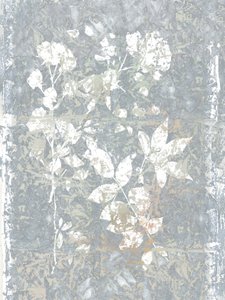Resumen: Grey Botanicals de cartissi