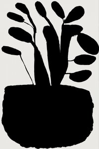 Silueta botánica en negro de cartissi