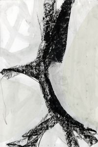 Abstracto monocromático en negrita de cartissi