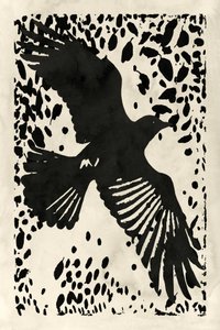 El cuervo oscuro en vuelo de cartissi