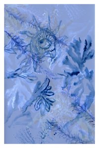  de cartissi