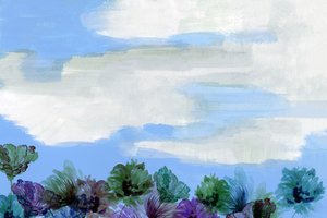 Cielo floral de ensueño de cartissi