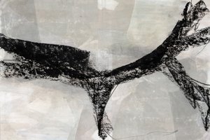 Forma abstracta dinámica de cartissi