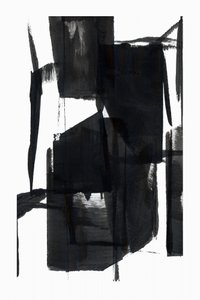 Formas negras dinámicas de cartissi